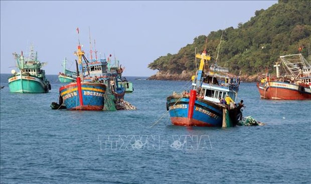 Coast Guard Region 2 safeguards maritime security, fights IUU fishing hinh anh 1