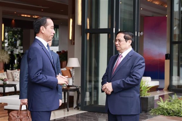 Leaders of Vietnam, Indonesia laud strides in bilateral relations hinh anh 1