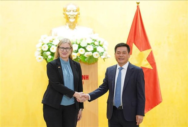 Vietnam, Sweden boast much room for stronger trade ties hinh anh 1