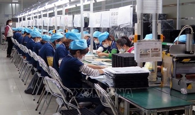Labour market to record 150,000 new jobs in Q2: ministry hinh anh 2