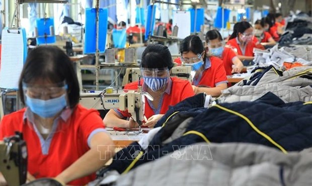 Labour market to record 150,000 new jobs in Q2: ministry hinh anh 1