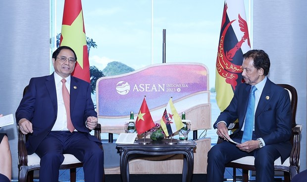 Prime Minister meets Sultan of Brunei Darussalam hinh anh 1