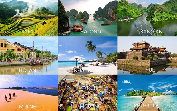 Search volume for Vietnam’s tourism ranks 11th in the world hinh anh 1