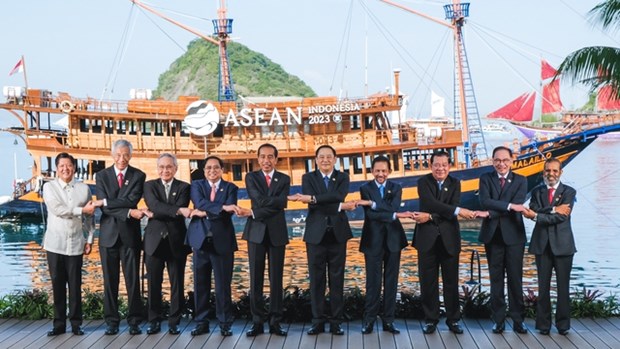 Vietnam actively contributes to strengthening ASEAN solidarity: Indonesian scholar hinh anh 1