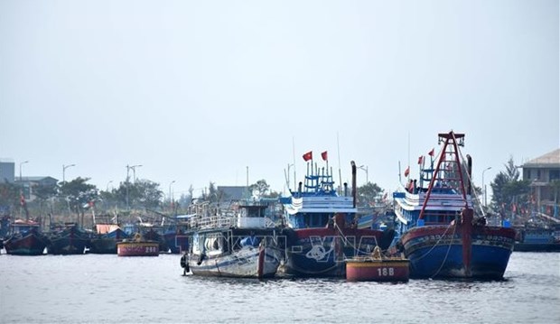 Da Nang, Quang Binh strengthen measures against IUU fishing hinh anh 1