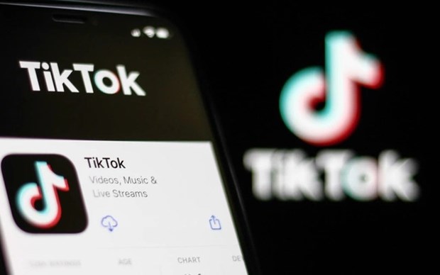 Ministries, agencies to conduct comprehensive inspections of TikTok's operations in Vietnam hinh anh 1