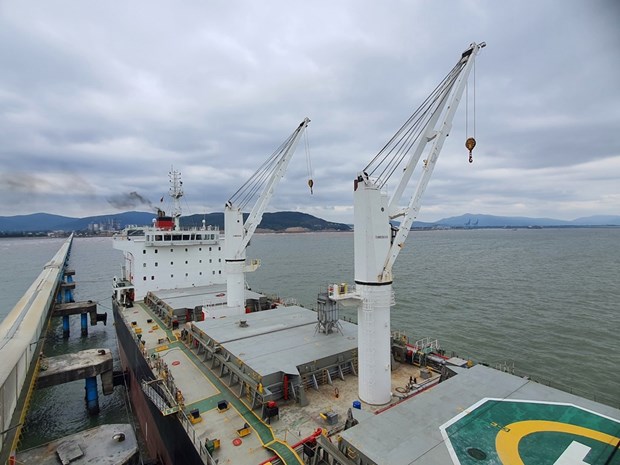 Vietnam-Japan joint venture ships 31,500 tonnes of cement to US hinh anh 1