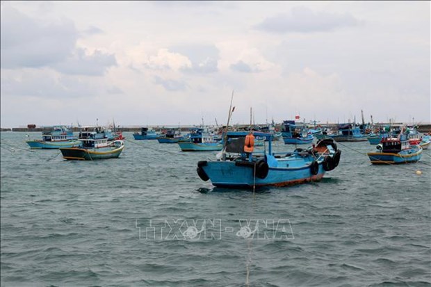 Binh Thuan province moves to end illegal fishing hinh anh 1