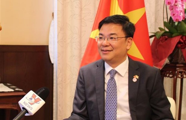 Japan’s G7 Summit invitation demonstrates Vietnam’s increasing role: diplomat hinh anh 1