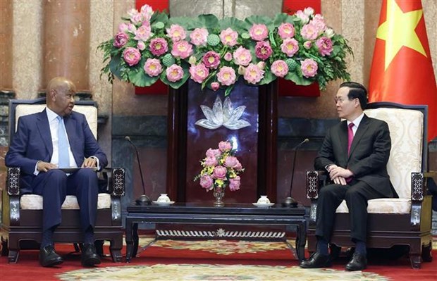 Vietnam enhances bilateral cooperation with Tanzania hinh anh 1