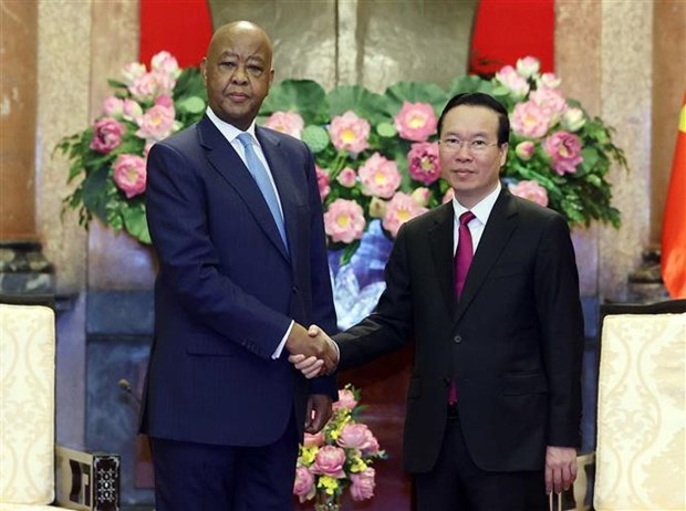 Vietnam enhances bilateral cooperation with Tanzania hinh anh 2