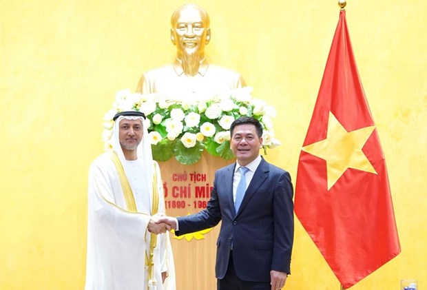 Vietnam, UAE eye stronger economic, trade and energy cooperation hinh anh 1