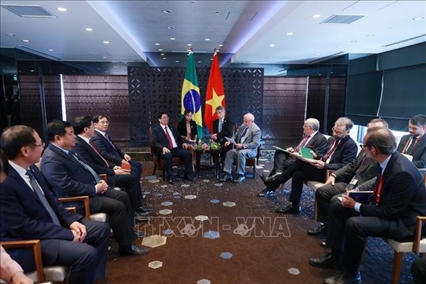 PM Pham Minh Chinh meets with Presidents of Brazil, Ukraine hinh anh 1