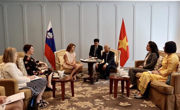 Vietnam, Slovenia seek to deepen trade, investment partnership hinh anh 2