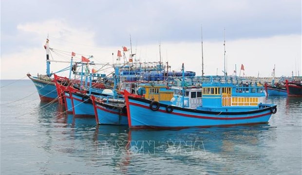 Joint efforts exerted to fight IUU fishing hinh anh 1