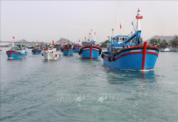 EC to send IUU inspection team to Vietnam in October hinh anh 1