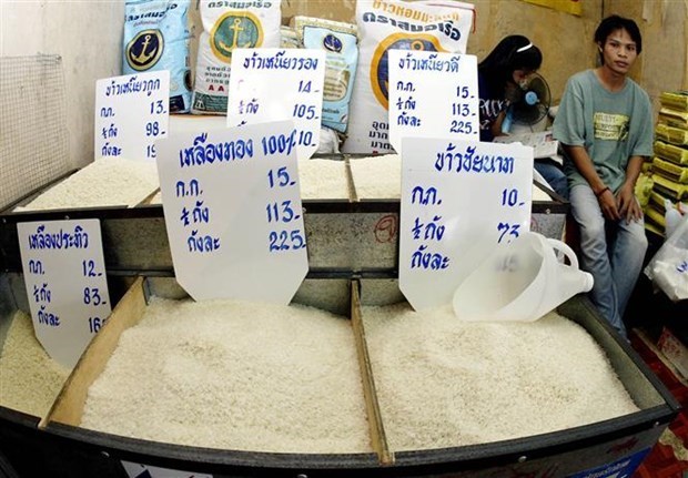 Thailand’s rice exports near 3 million tonnes over four months hinh anh 1