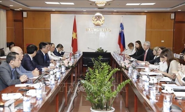 Foreign Minister holds talks with visiting Slovenian official hinh anh 3