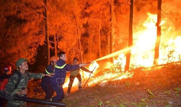 PM urges stronger wildfire prevention measures hinh anh 1