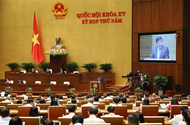 Socio-economic recovery and development programme creates new motivation for growth: Minister hinh anh 2