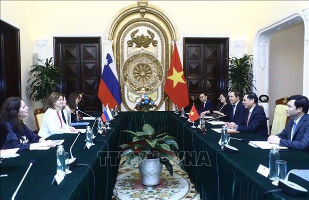 Foreign Minister holds talks with visiting Slovenian official hinh anh 2