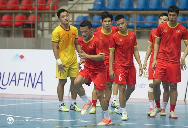 Vietnam futsal team to play friendly matches with Solomon Islands hinh anh 1