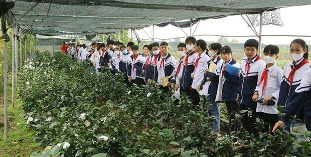Red River Delta provinces move to promote agritourism hinh anh 2