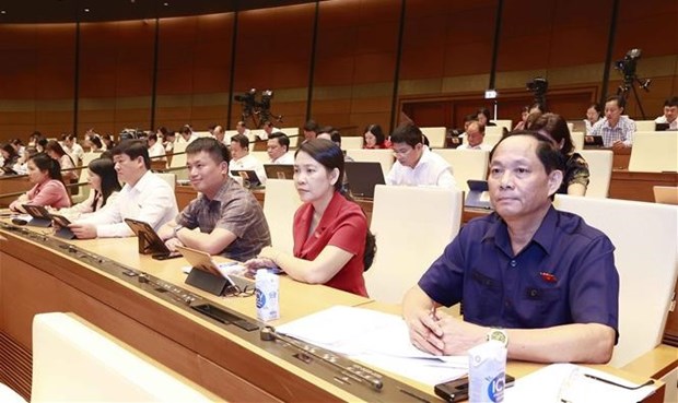 Draft revised Law on Bidding under scrutiny hinh anh 2