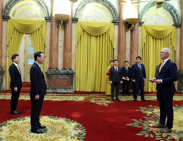 President welcomes foreign ambassadors hinh anh 3