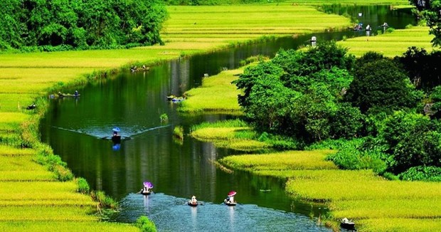 Red River Delta provinces move to promote agritourism hinh anh 1