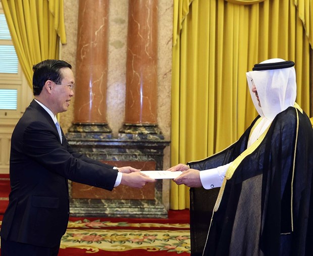 President welcomes foreign ambassadors hinh anh 1