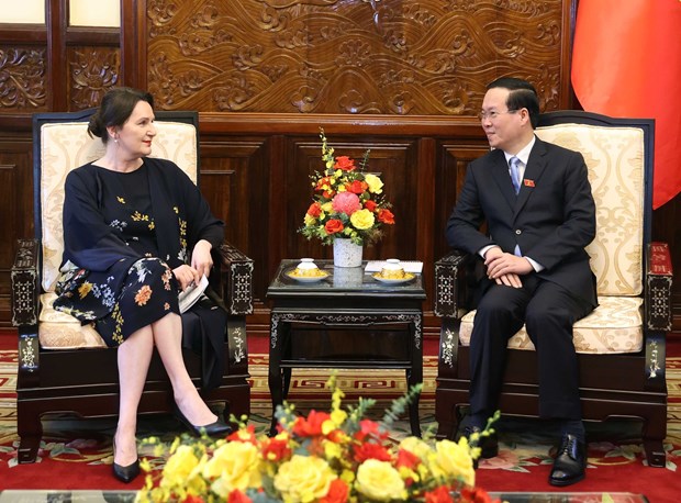 President welcomes foreign ambassadors hinh anh 2
