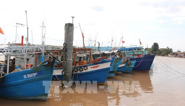 Thanh Hoa strictly monitors vessels to fight IUU fishing hinh anh 1