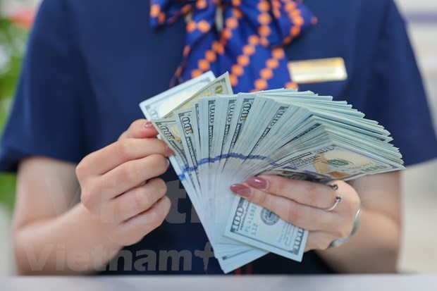 Reference exchange rate up 12 VND on May 25 hinh anh 1