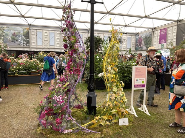 First OV wins high prize at world’s most prestigious floral competition​ hinh anh 1
