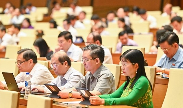 Deputies emphasise need to prevent false information on goods, services hinh anh 1