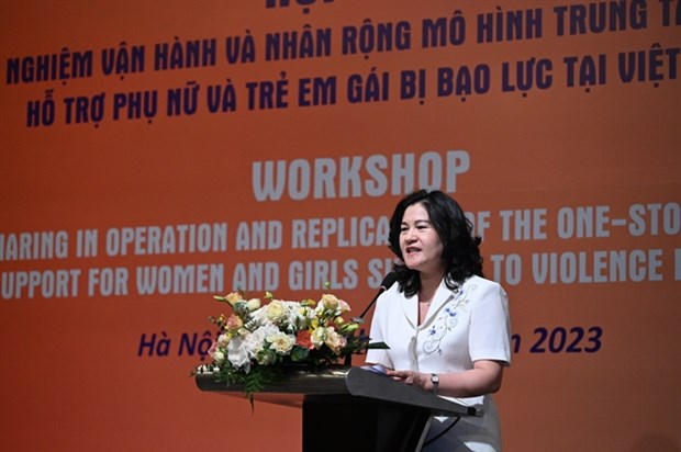 Workshop discusses solutions to minimise gender-based violence hinh anh 1