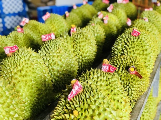 Vietnamese durian gets more farming area codes for export to China hinh anh 1