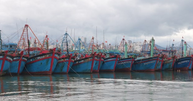 Vietnam Fisheries Trade Union raises fishermen's awarness on combatting IUU fishing hinh anh 1
