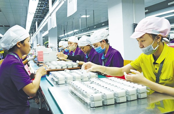 Improving FDI quality, quantity crucial for Vietnam: Insiders hinh anh 2