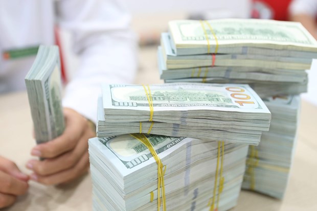 HCM City seeks ways to attract more remittances hinh anh 2