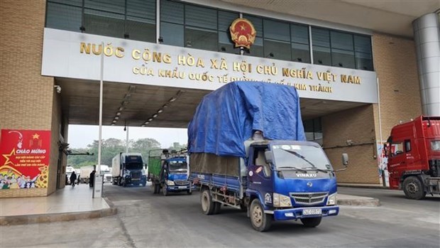 Over 5,000 tonnes of fresh lychee shipped to China via Lao Cai border gate hinh anh 1