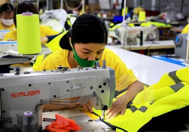 Newly established firms decrease 24% in May hinh anh 1