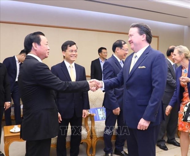 Vietnam welcomes international renewable energy projects: Deputy PM hinh anh 2