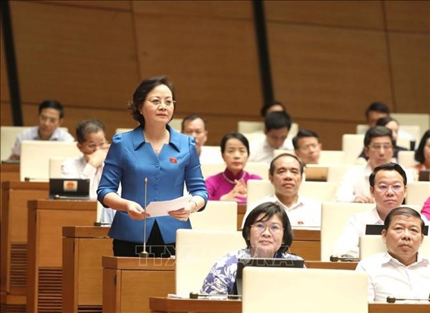 Lawmakers look into socio-economic affairs hinh anh 1