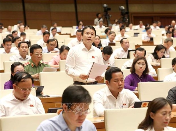 Lawmakers look into socio-economic affairs hinh anh 2