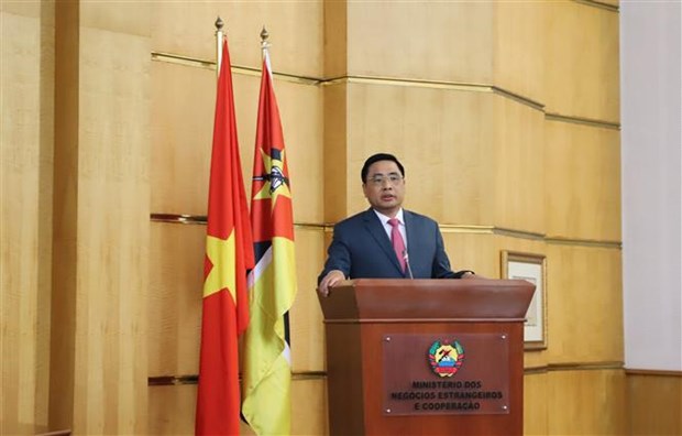 Huge potential for Vietnam - Mozambique cooperation: official hinh anh 3