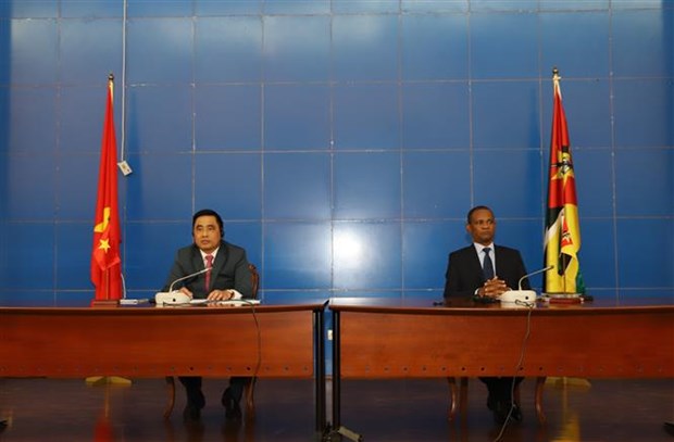 Huge potential for Vietnam - Mozambique cooperation: official hinh anh 2