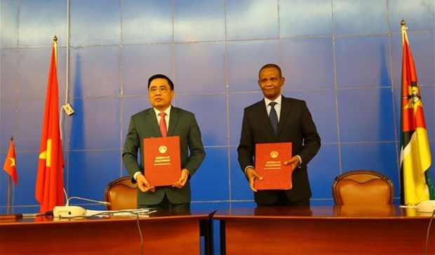 Huge potential for Vietnam - Mozambique cooperation: official hinh anh 1