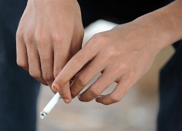 Symposium urges youths to quit smoking hinh anh 1